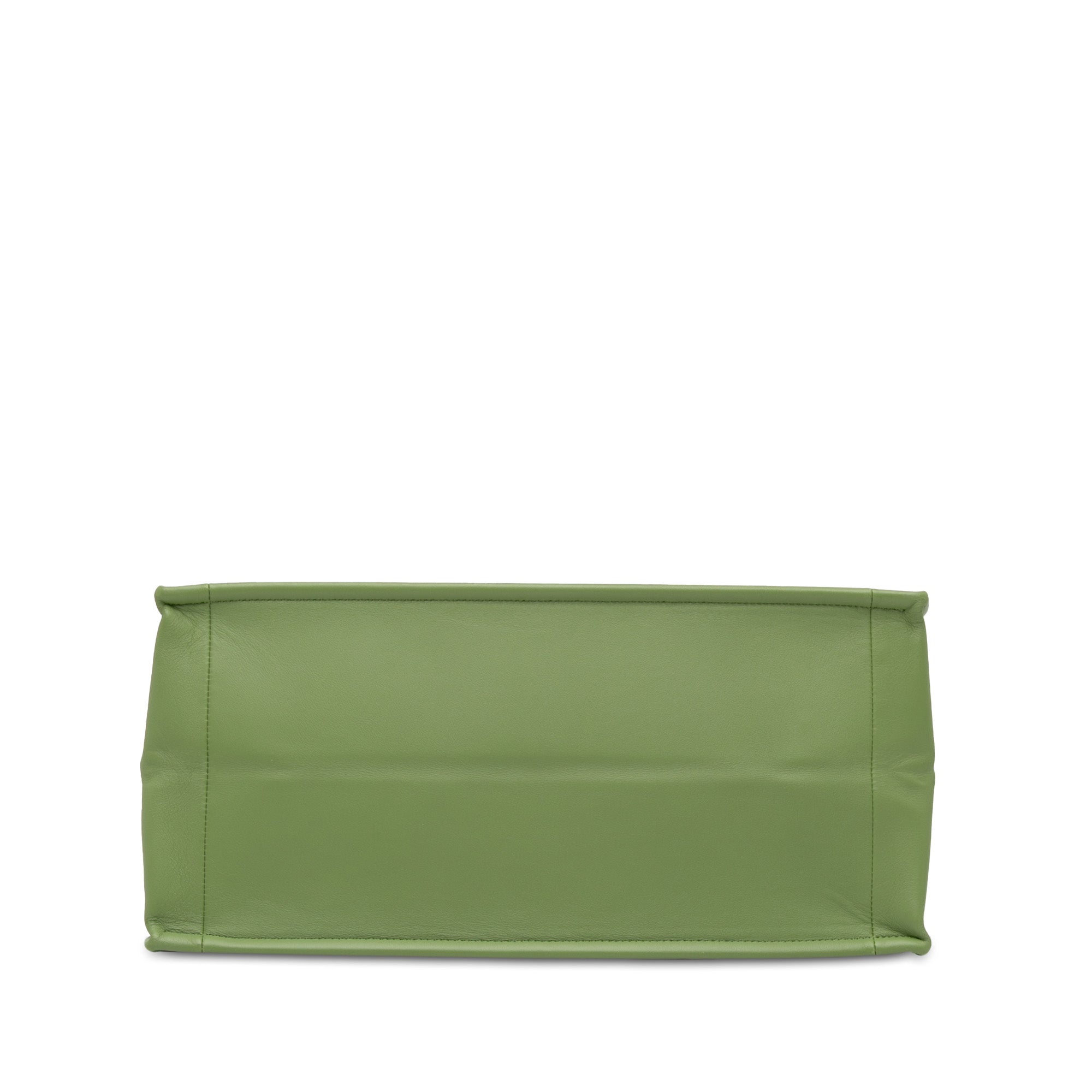 Dior Book Tote Medium Green Embossed Leather