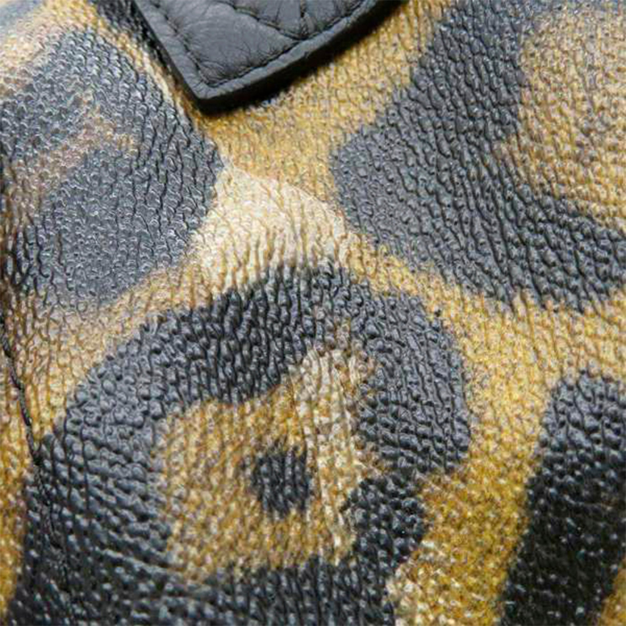 Louis Vuitton Palm Springs Backpack PM Leopard Print Canvas